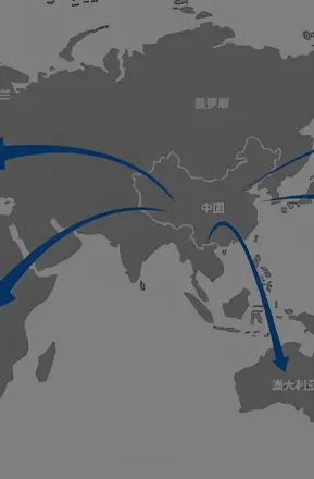 50+ Exporting Countries